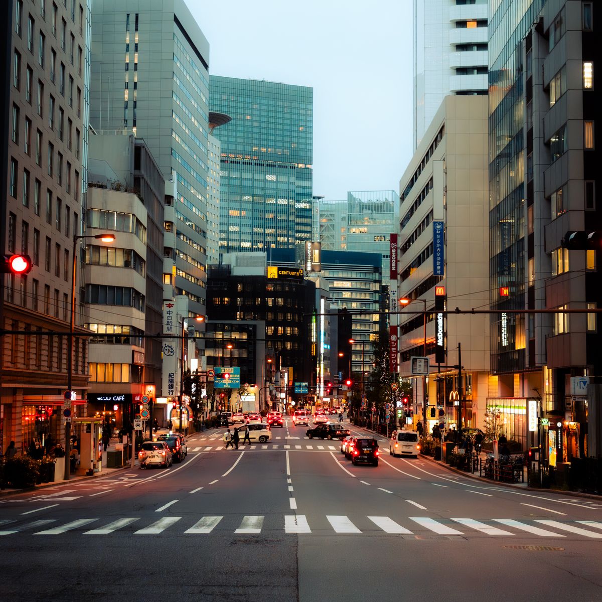 Tokyo cityscape at dusk