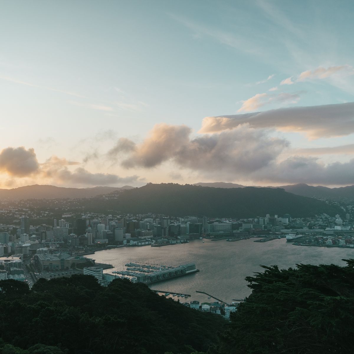 Aerial view of Wellington Harbour