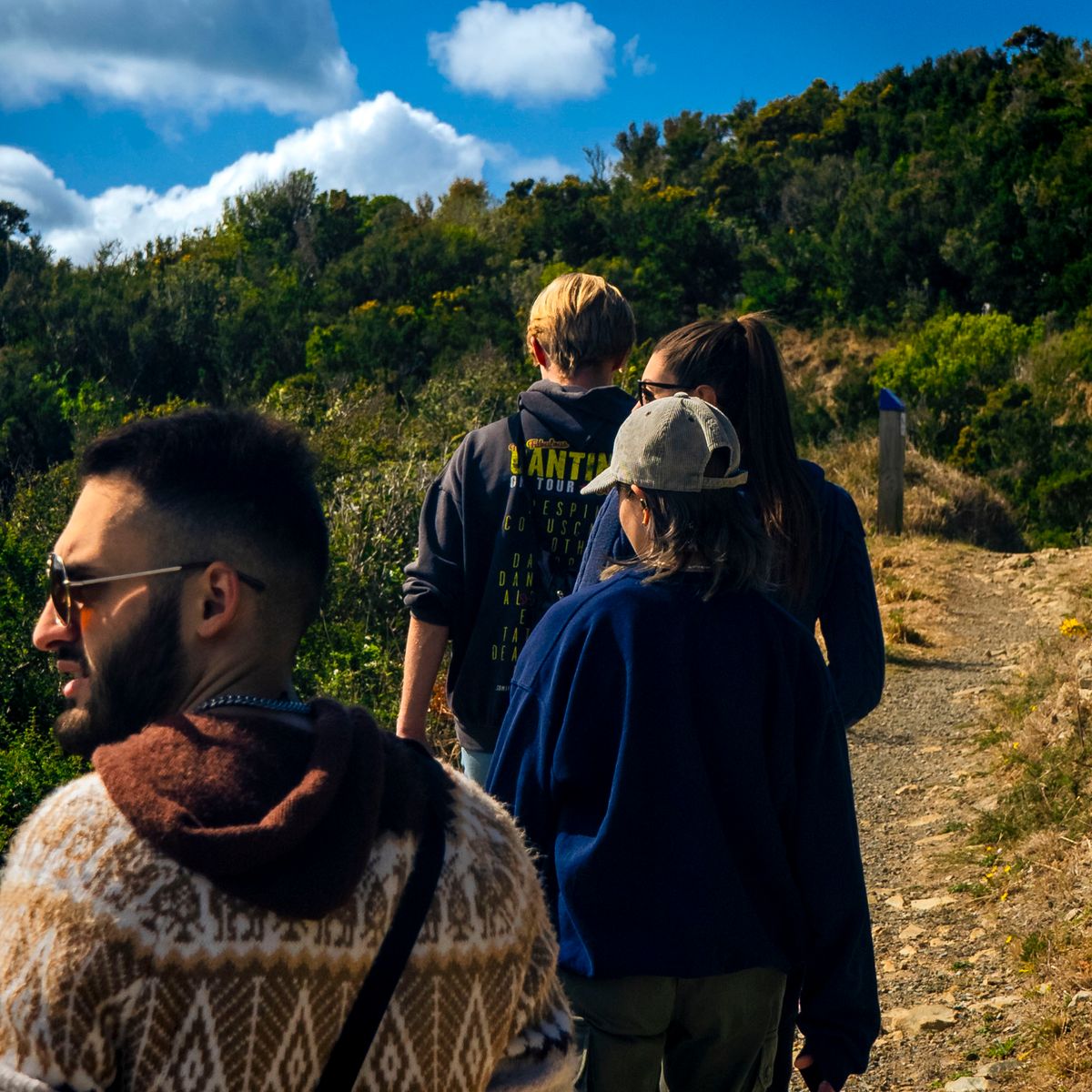 Group hiking adventure in Wellington, New Zealand